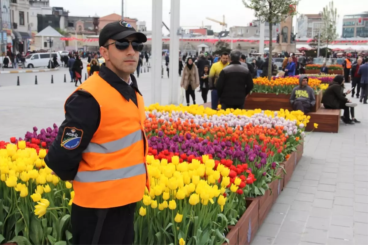 Taksim Meydanı\'ndaki Laleler Koruma Altında