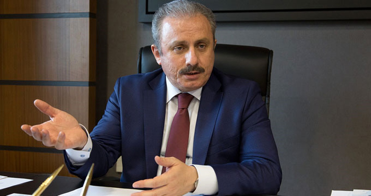 TBMM Anayasa Komisyonu Başkanı Şentop Açıklaması