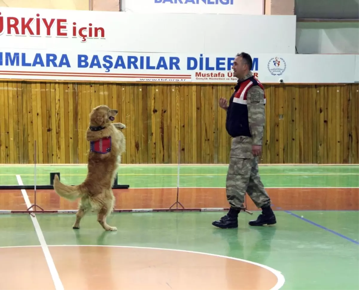 23 Nisan\'da Jandarmadan Köpeklerle Gösteri