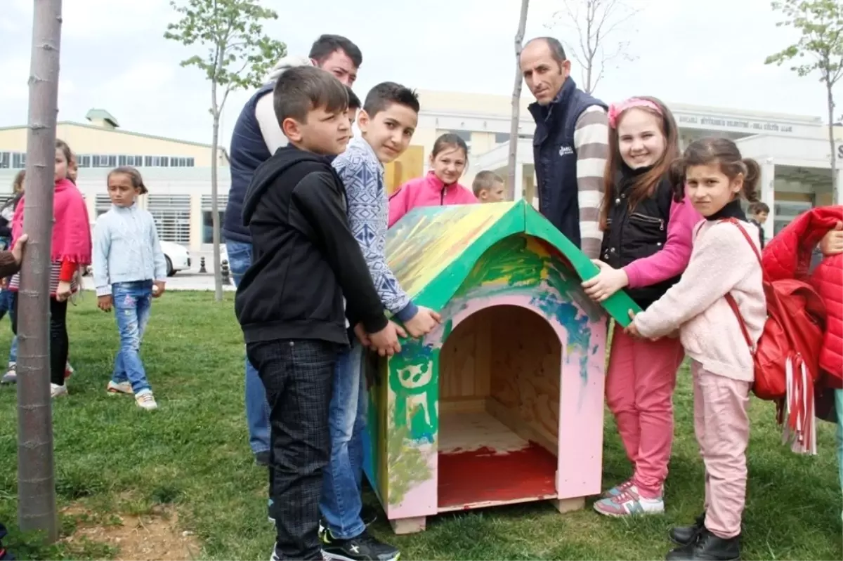 Çocuklar Sokak Hayvanları İçin Kulübe Boyadılar