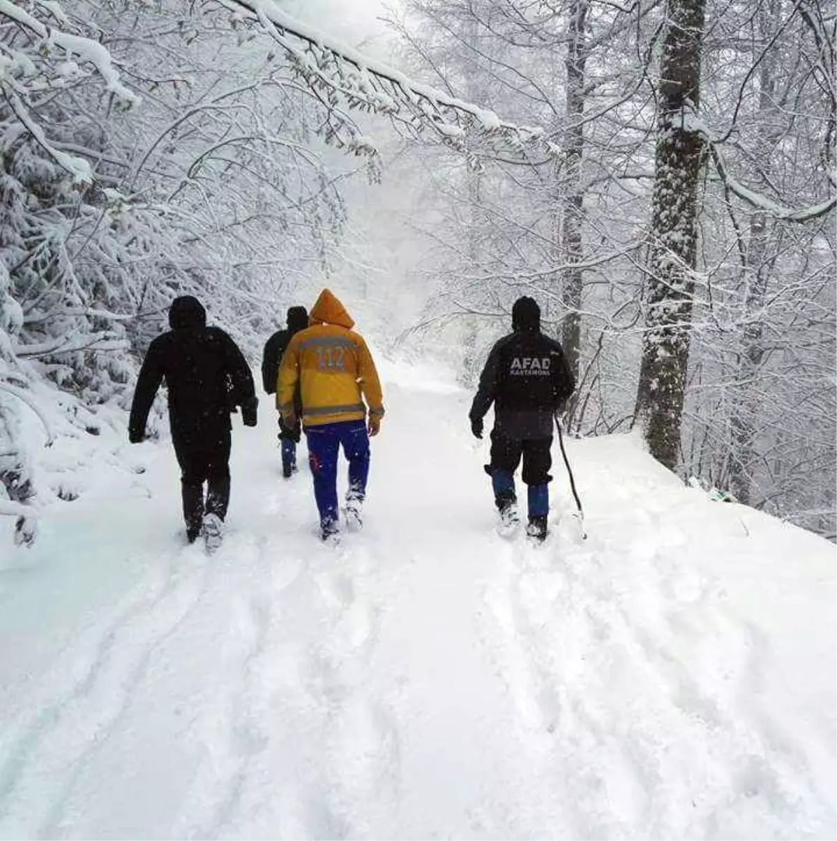 Kastamonu\'da Ormana Giden Kişinin Kaybolması