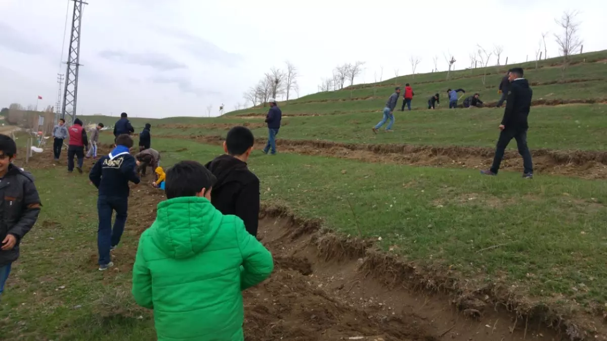 AĞÇED İzcileri Yüzlerce Fidanı Toprakla Buluşturdu