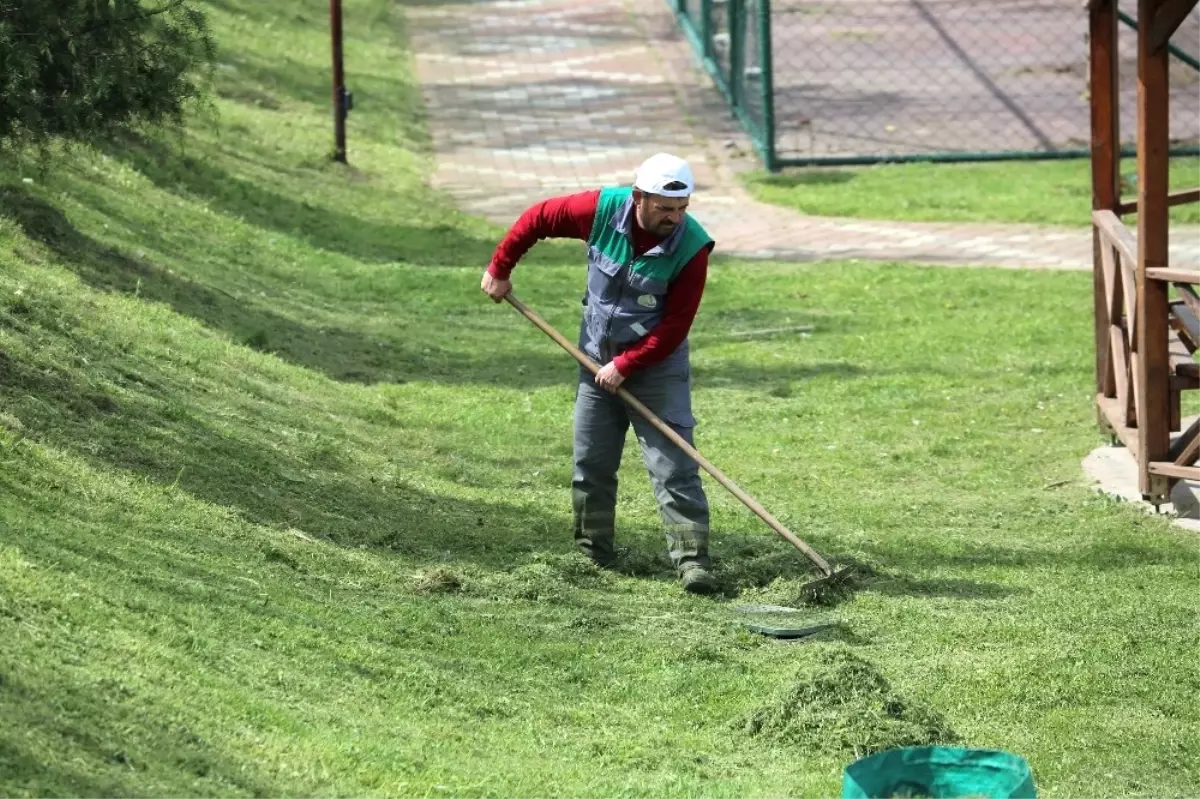 Başiskele\'de Yeşil Alan Çalışmaları Sürüyor