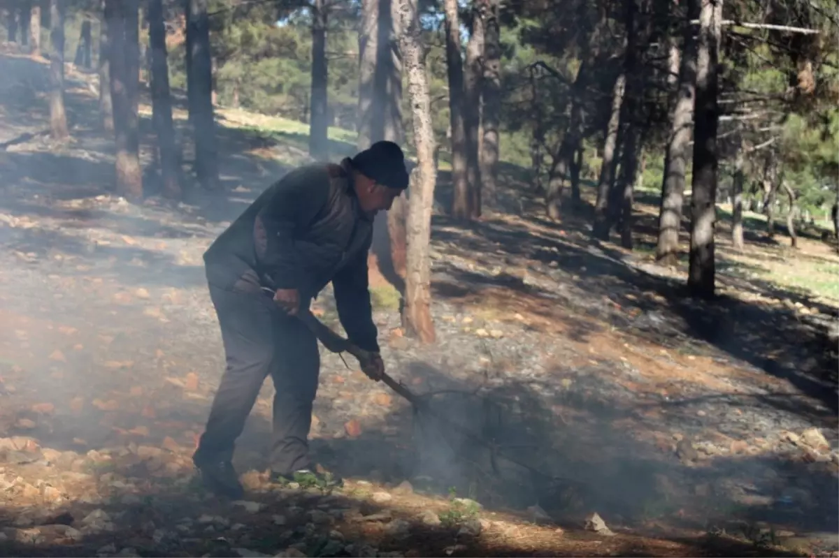 Çıkan Orman Yangınını Vatandaşlar Söndürdü