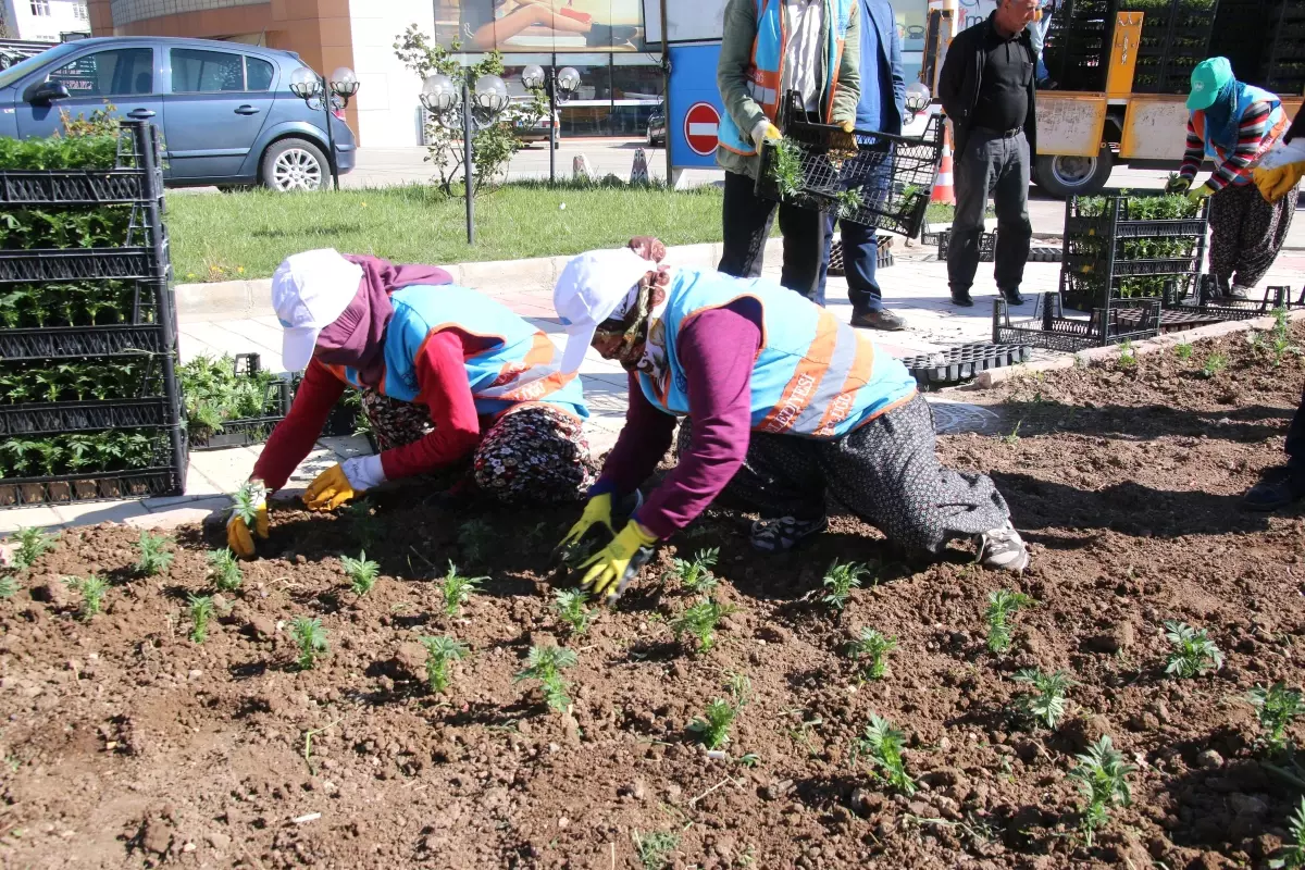 Daha Yeşil Bir Elazığ İçin