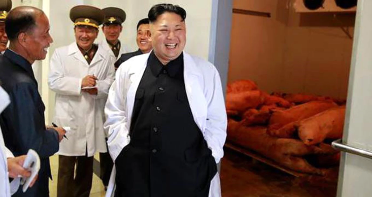 Dünya Nükleer Saldırı Beklerken Kuzey Kore Lideri Domuz Çiftliği Gezdi