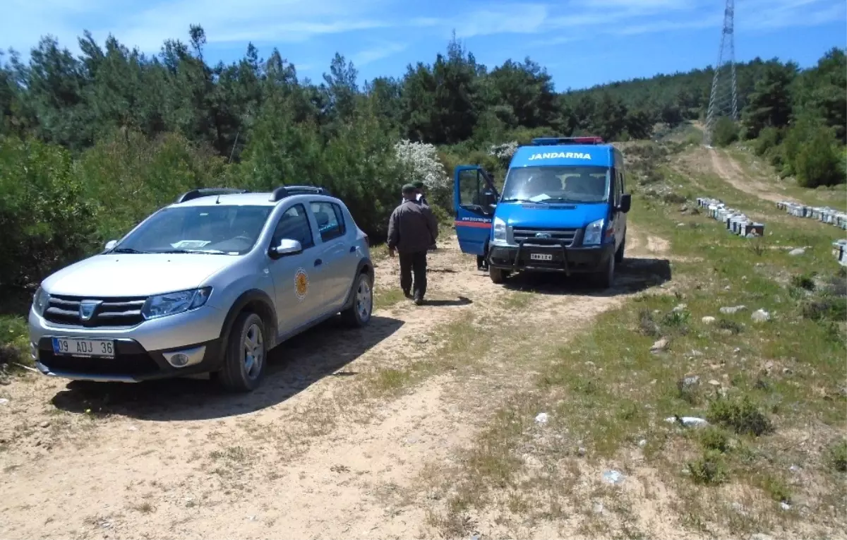 Hırsızlar Soğuk Havada Arıların Uyuşuklaşmasını Fırsat Bildi