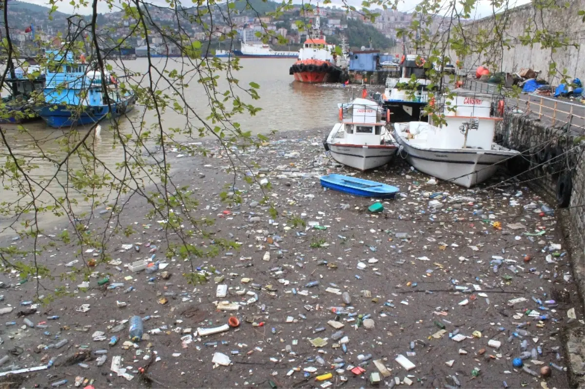 Zonguldak Limanı Çöple Doldu