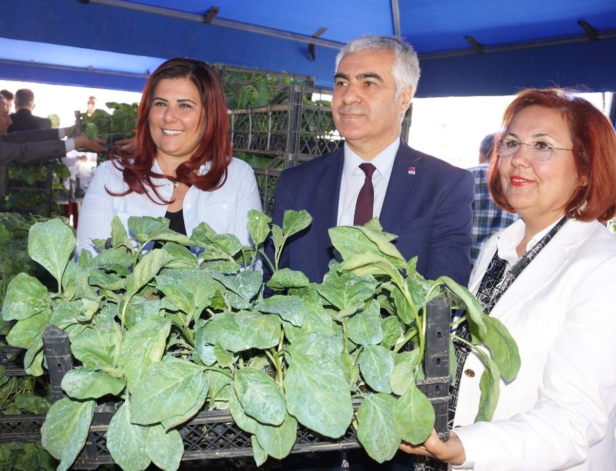 Aydın\'da 70 Bin Adet Yerli Tohum Fide Dağıtımı Yapıldı