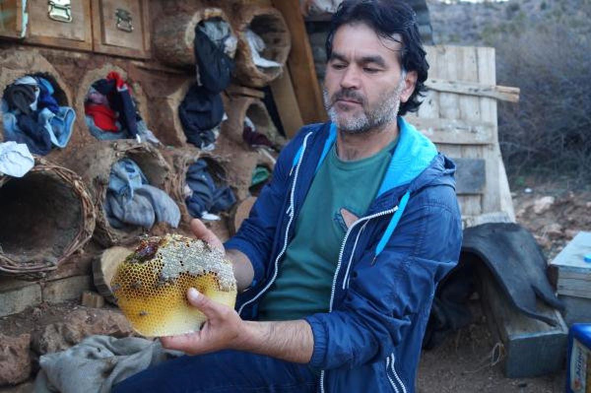 Bozkır\'da Kovanlara Ayı Saldırısı
