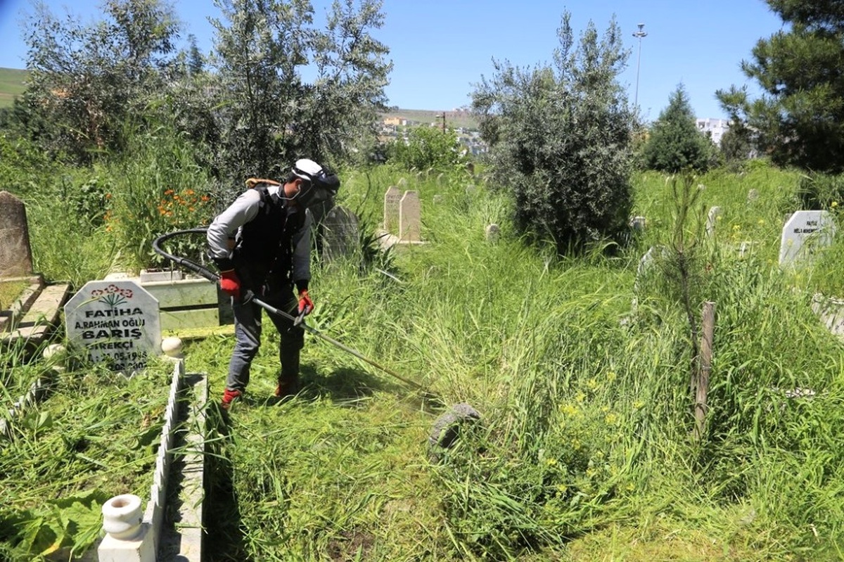 Cizre Belediyesinden Mezarlık Bakımı