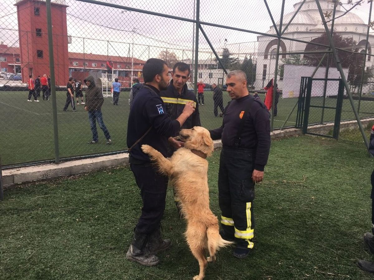 İtfaiye Ekipleri K9 Eğitimi Alıyor