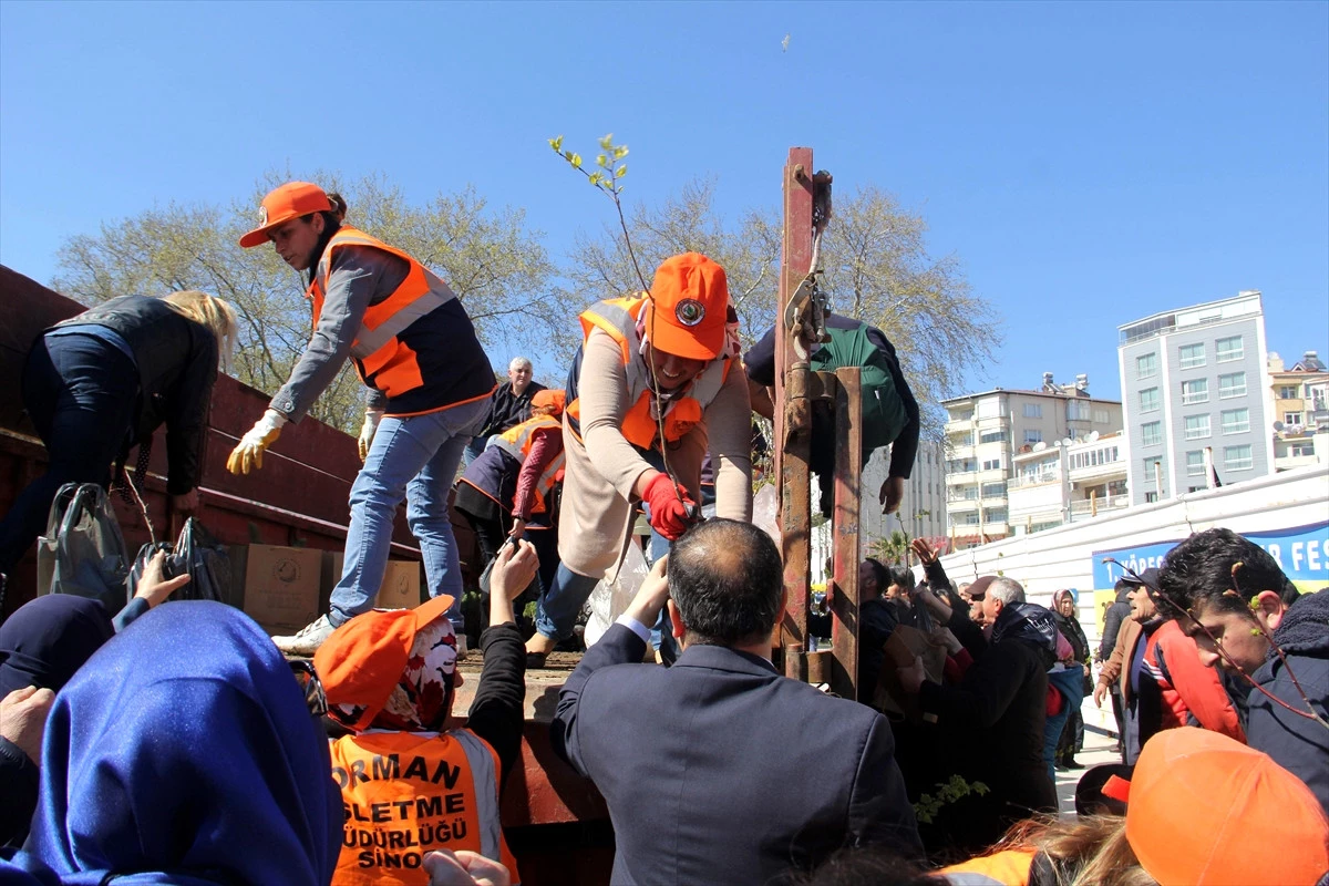 Sinop\'ta Vatandaşlara Fidan Dağıtıldı