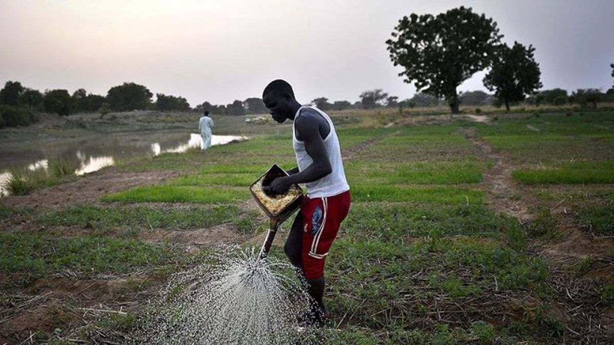 Tarımda Türkiye ile Afrika Ülkelerinin İş Birliği Artacak