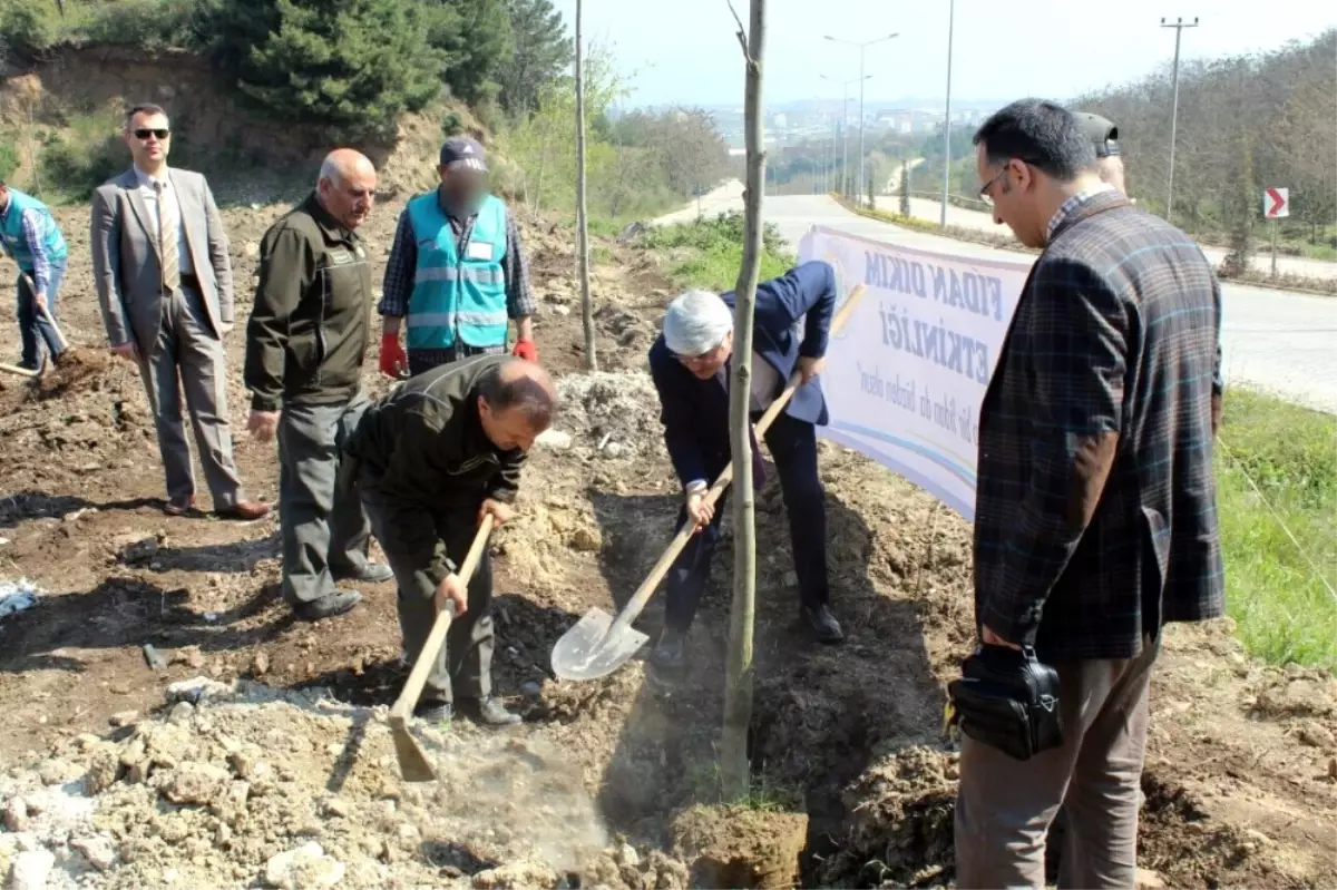 Yalova\'da Hükümlüler Bin 260 Fidan Dikti