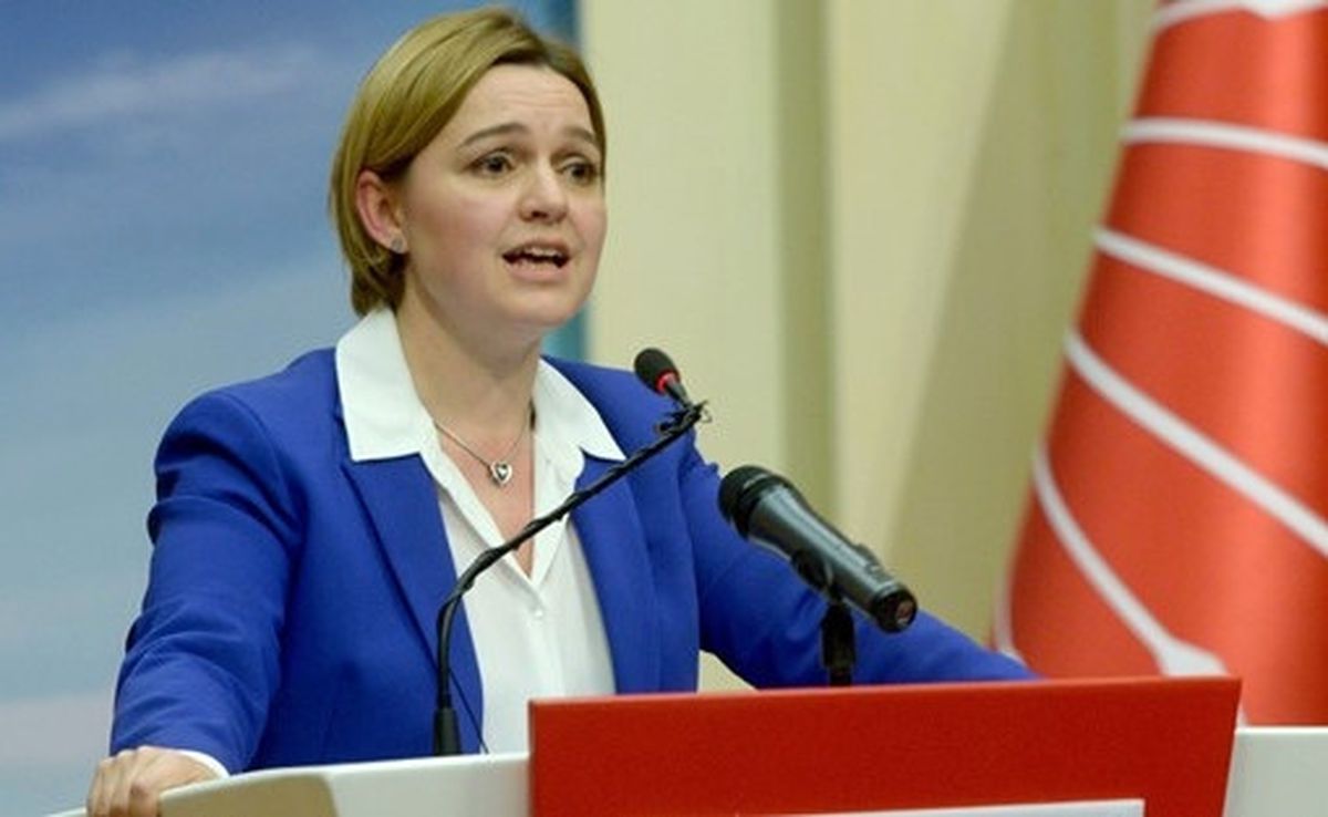 CHP\'li Böke: (Referandum Sonuçları) Önümüzdeki Dönemde AİHM\'e Başvuru Yapacağız (2)