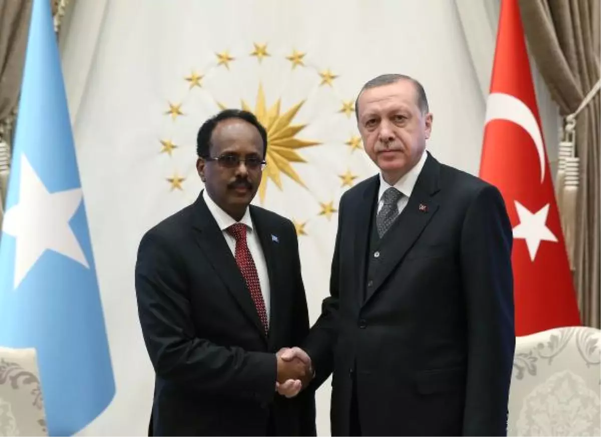 Cumhurbaşkanı Erdoğan, Somalili Mevkidaşı ile Başbaşa Görüştü