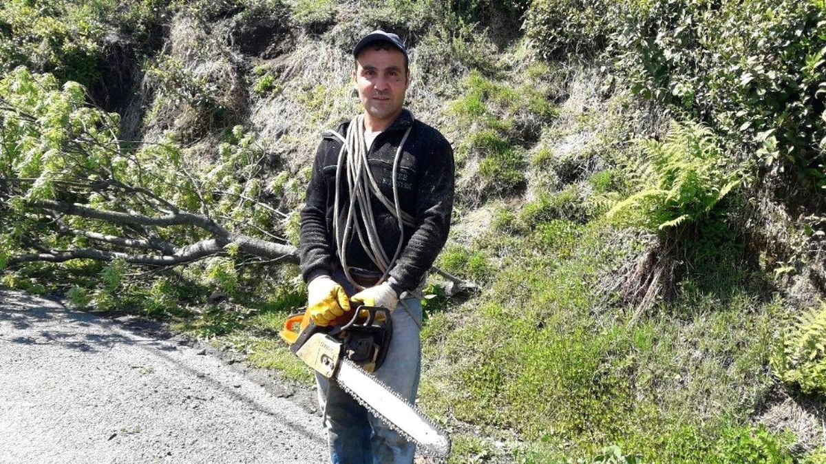 Ekmek Onun İçin Aslanın Midesinde Değil Ağaçların Tepesinde