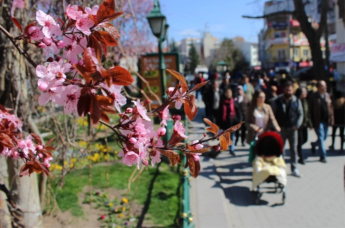 Eskişehir\'de Kartpostallık Bahar Görüntüleri