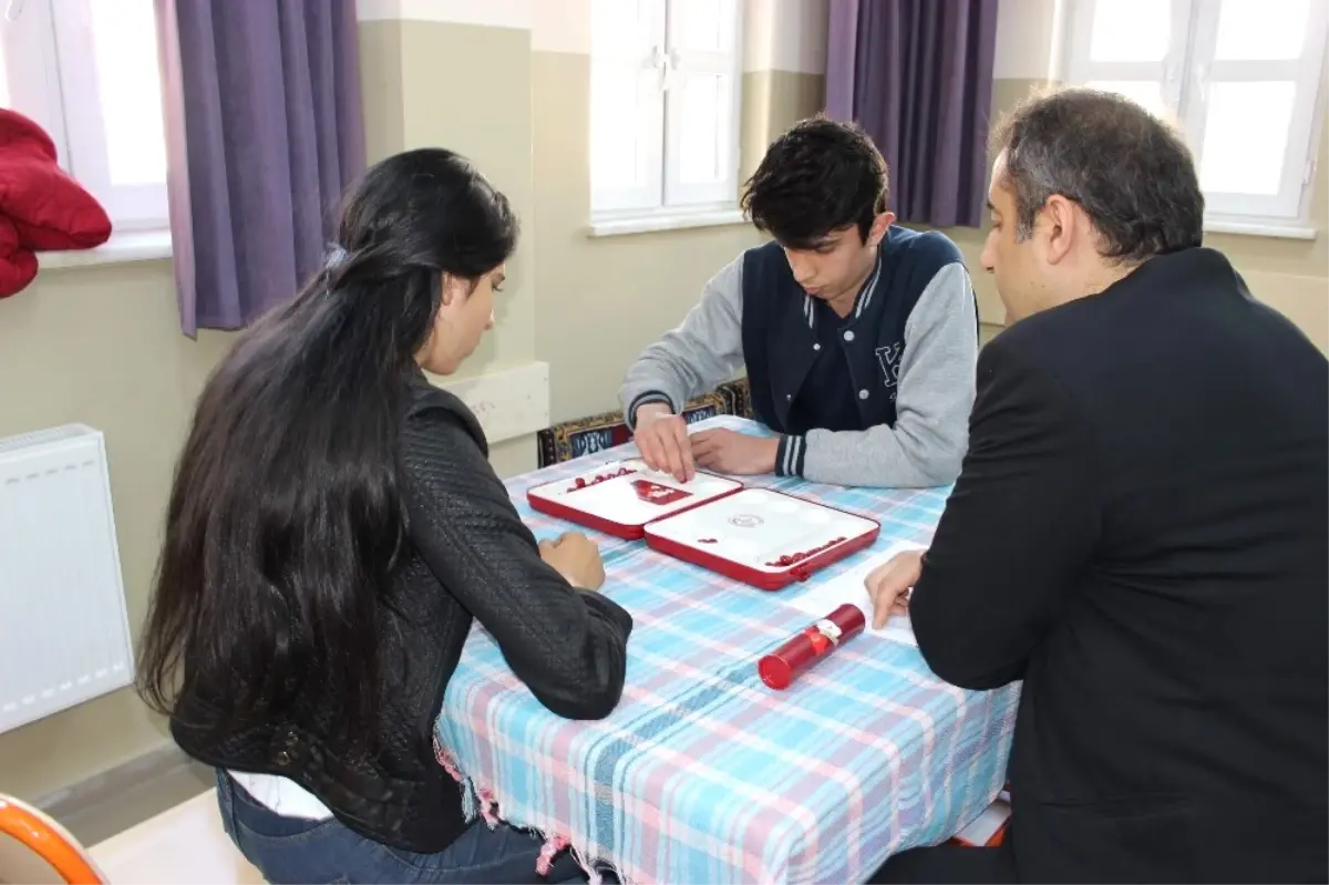 Geleneksel Türk Akıl Oyunları Turnuvası