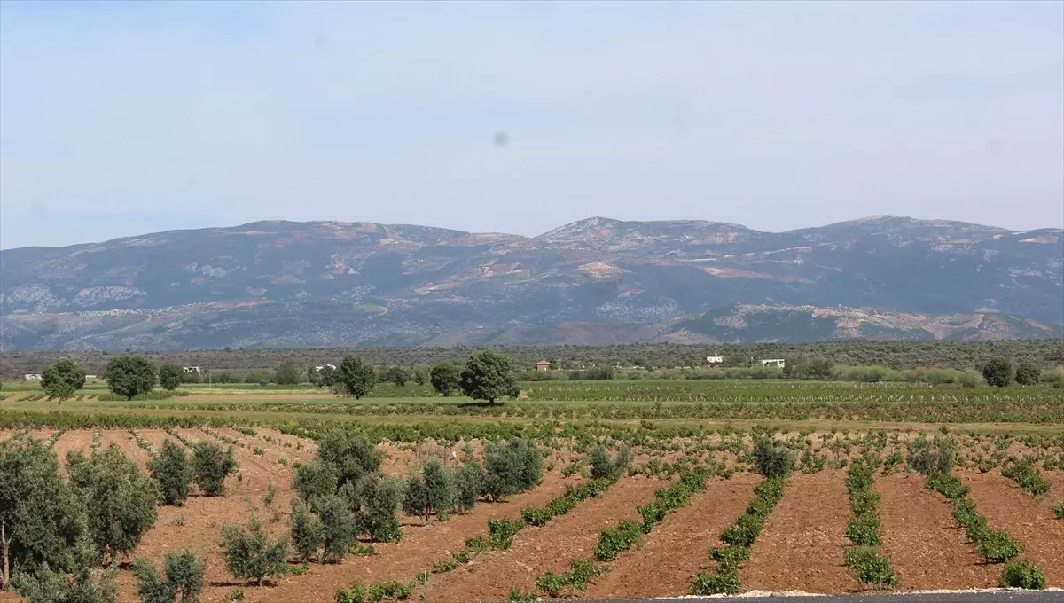 Mardin\'de Hudut Karakollarına Saldırıya Misliyle Karşılık Verildi