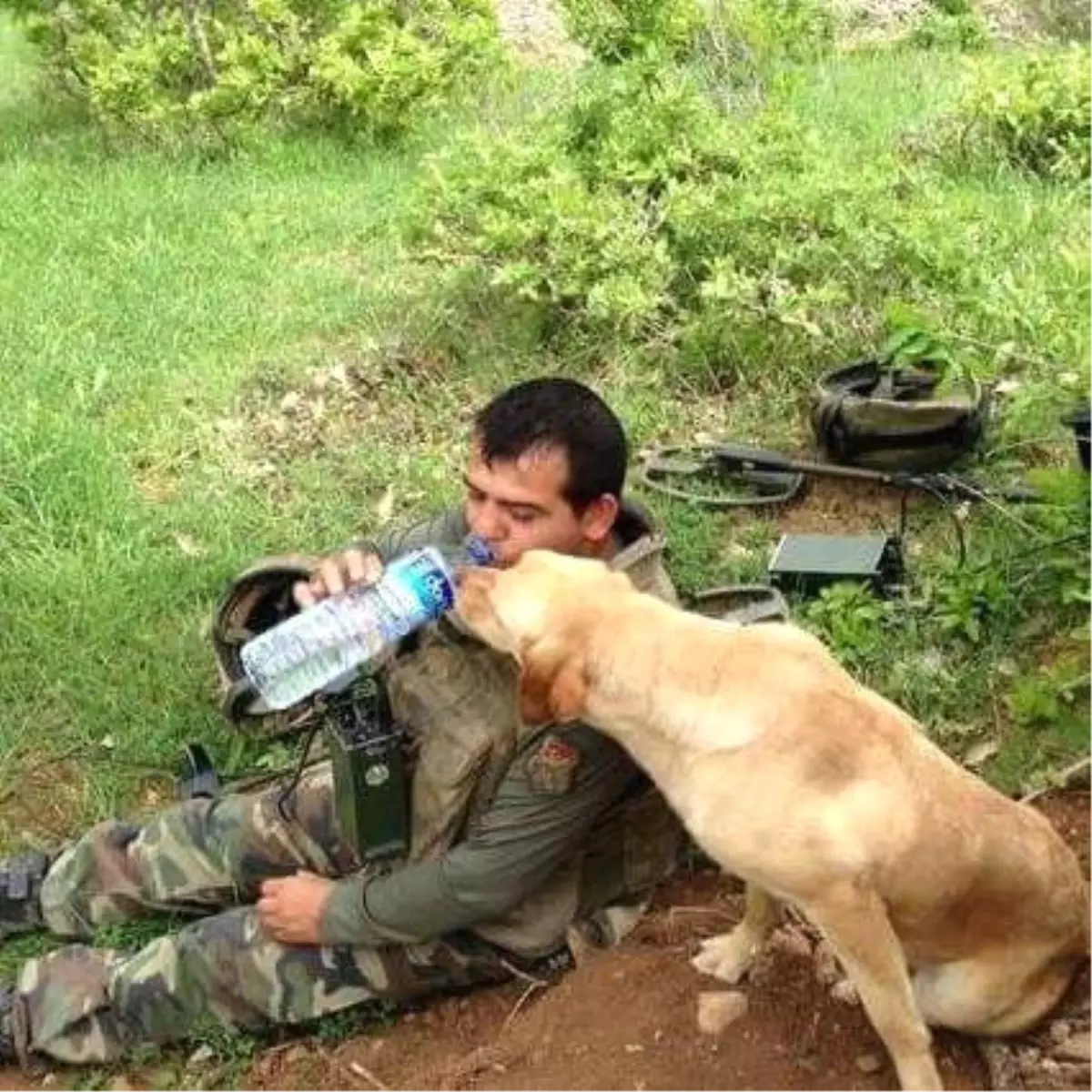 Şehit Olmasaydı Ramazan Bayramı\'nda Düğünü Vardı