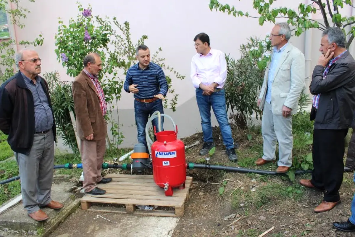 "Susuzluk, Fındıkta Stres Yapıyor!"