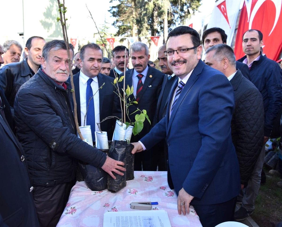 Yöresel Meyve Çeşitlerinin Korunması ve Yaygınlaştırılması Projesi\' Kapsamında Vatandaşlara Meyve...