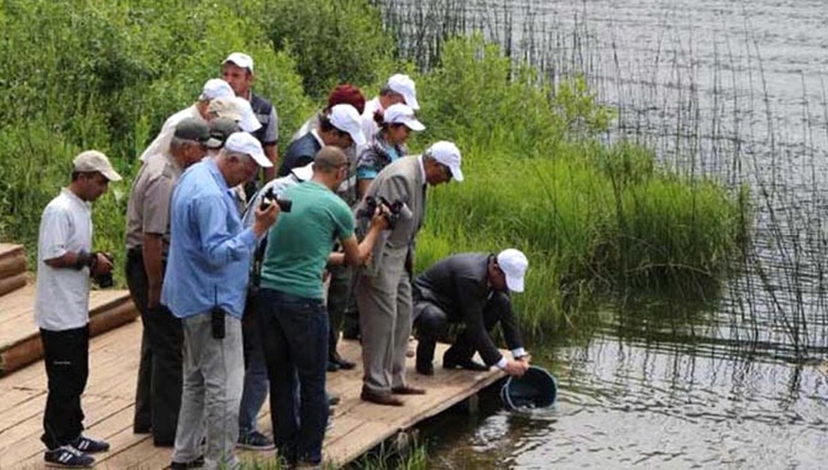 Abant Gölü\'ne Alabalık Yavrusu Bırakıldı
