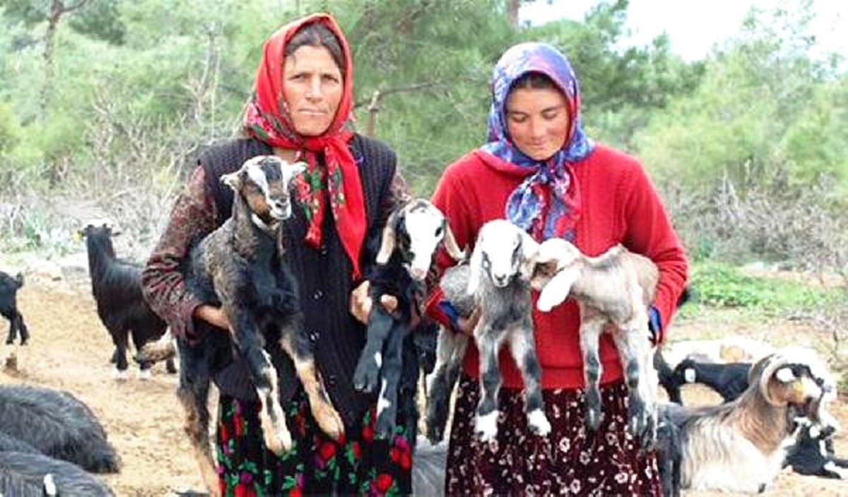 Beydili Yörüklerinin Yüzlerce Yıllık Geleneği: Püse