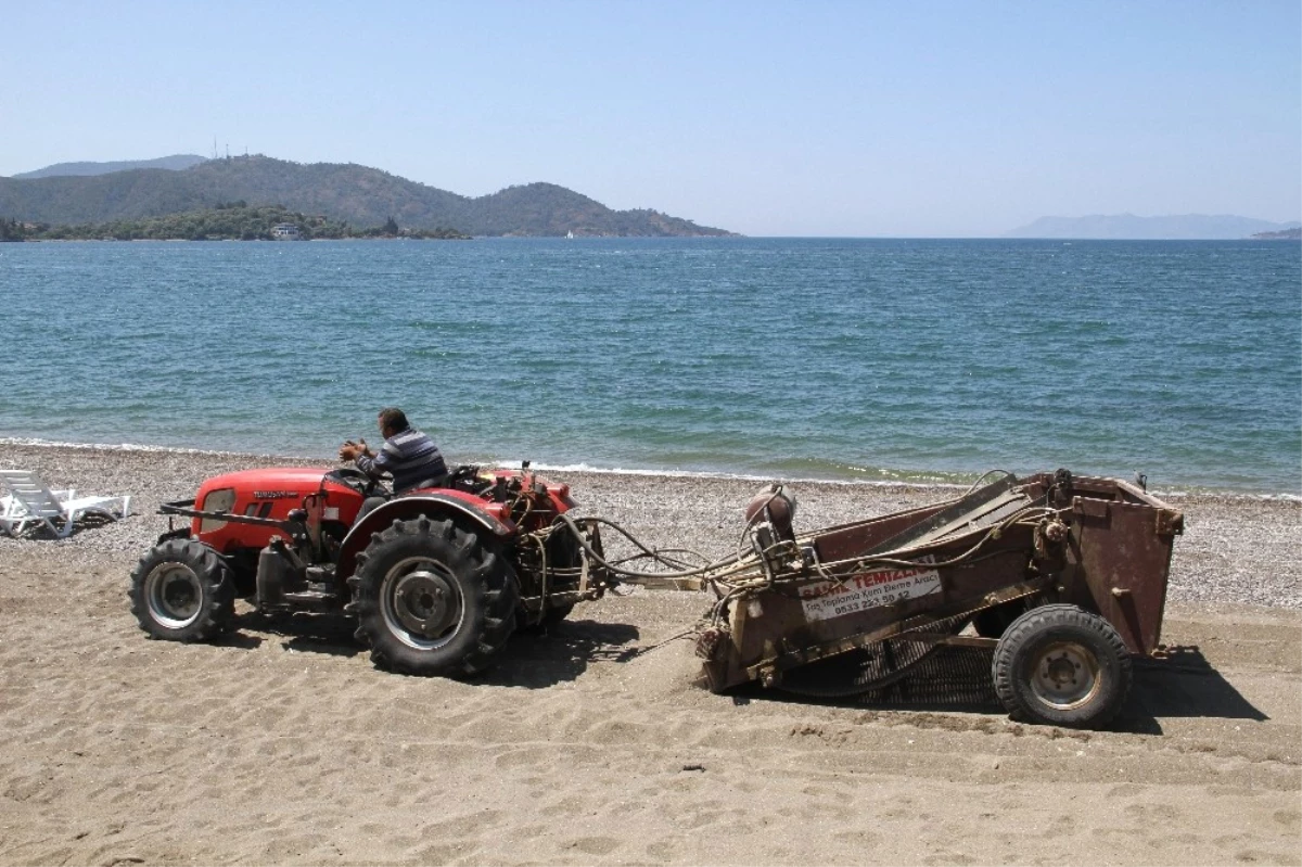 Çalış Plajı Kumsalı Traktörle Temizleniyor