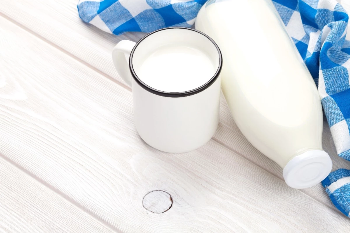 Çiğ Süt Artık Bakkal ve Marketlerde Satılabilecek