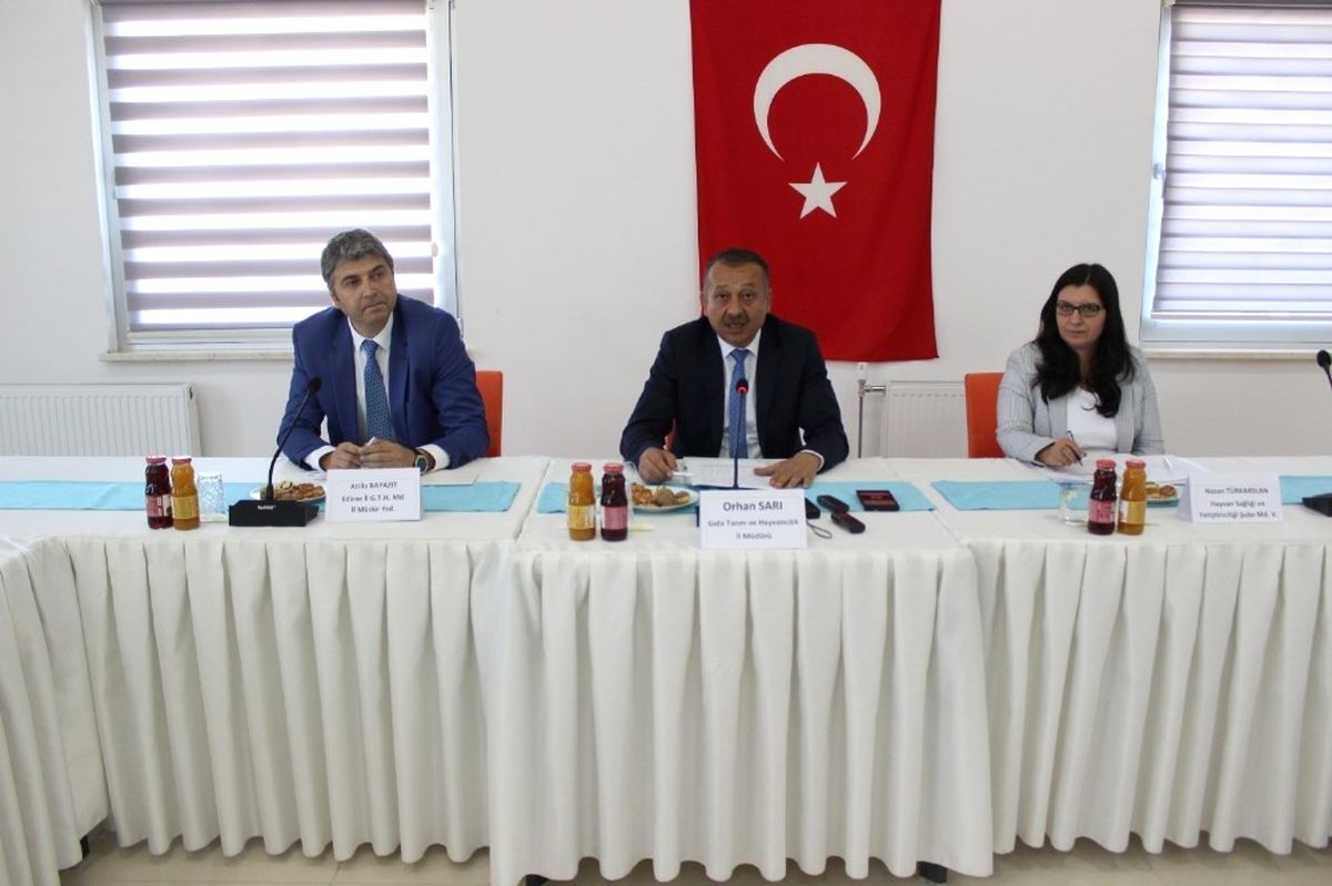 Edirne\'de Damızlık Canlı Hayvan Satışının Geleceği Masaya Yatırıldı