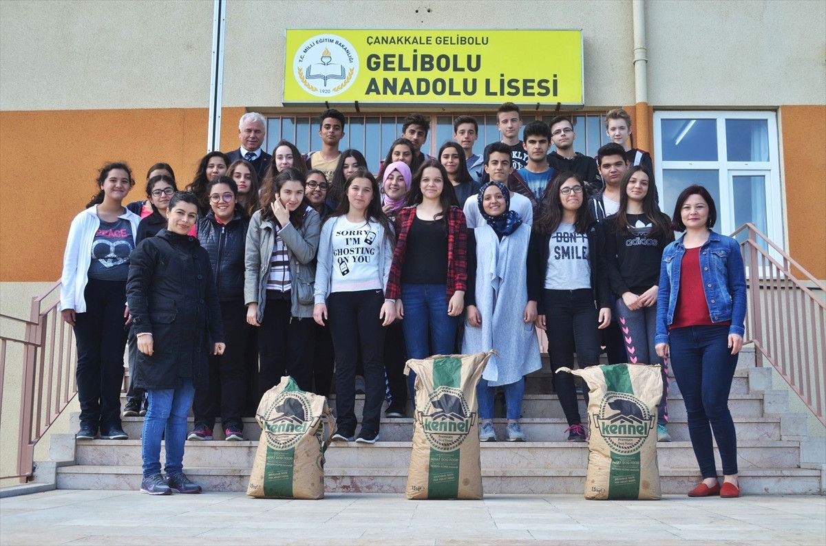 Harçlıklarıyla Sokak Hayvanları İçin Mama Alıyorlar