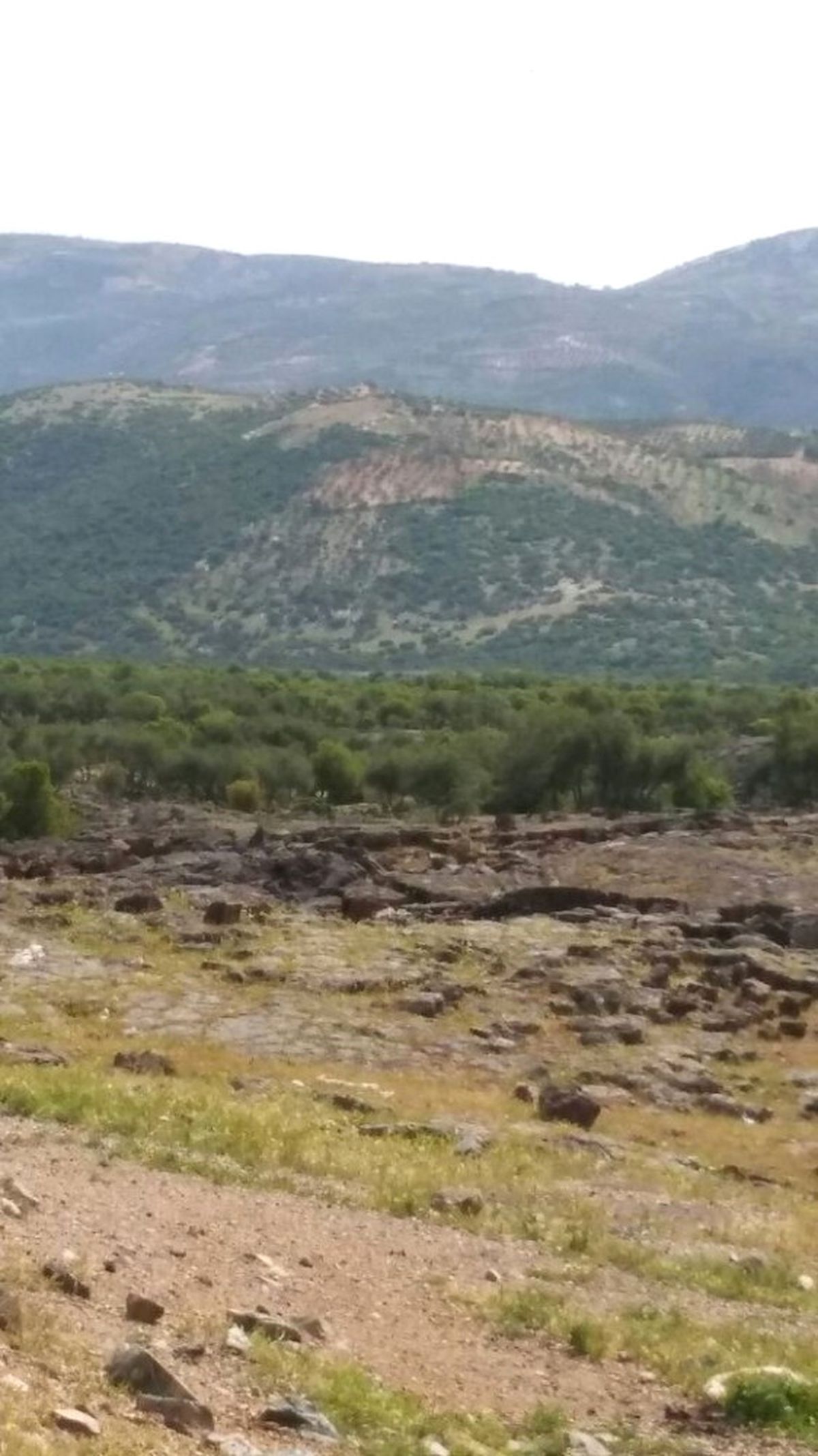 Hassa\'dan Suriye\'deki Pyd Karakoluna Top Mermisi Atışları Sürüyor