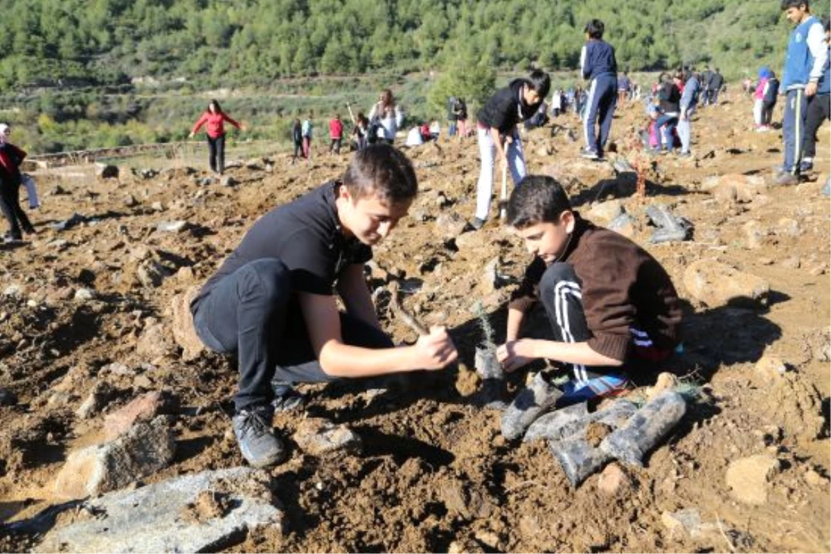 Hatay\'da 15 Temmuz Şehitleri Anısına Hatıra Ormanı