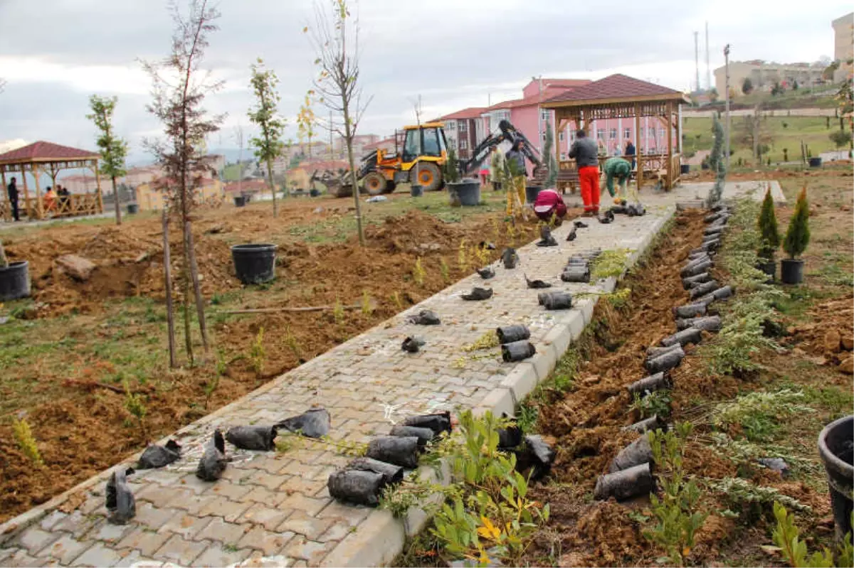 Kavak Kaymakamlığı Hatıra Ormanı Oluşturuldu