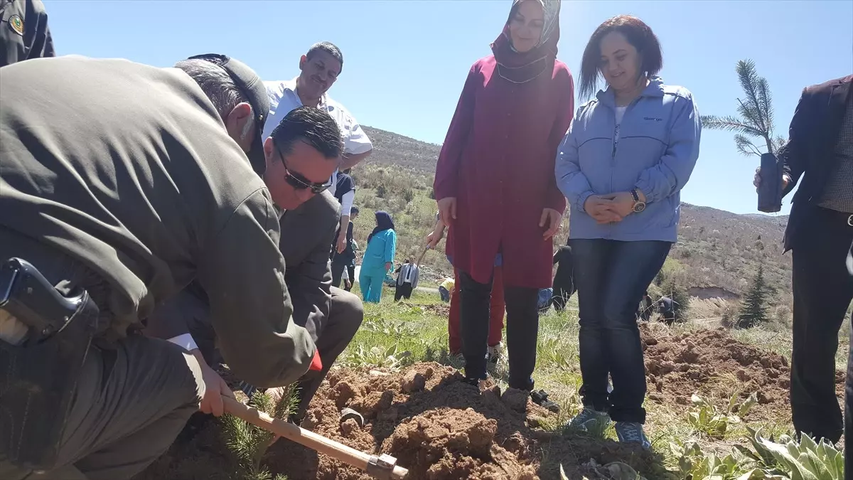 Kızılcahamam\'da "Ebeler ve Hemşeriler Haftası" Kutlandı