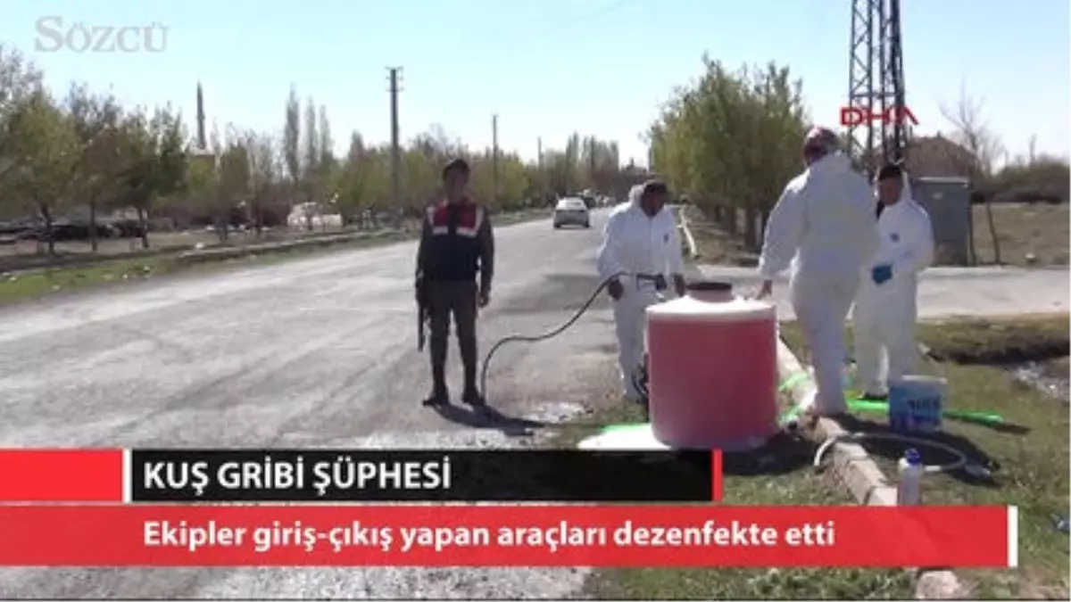 Niğde\'de Kuş Gribi Şüphesi