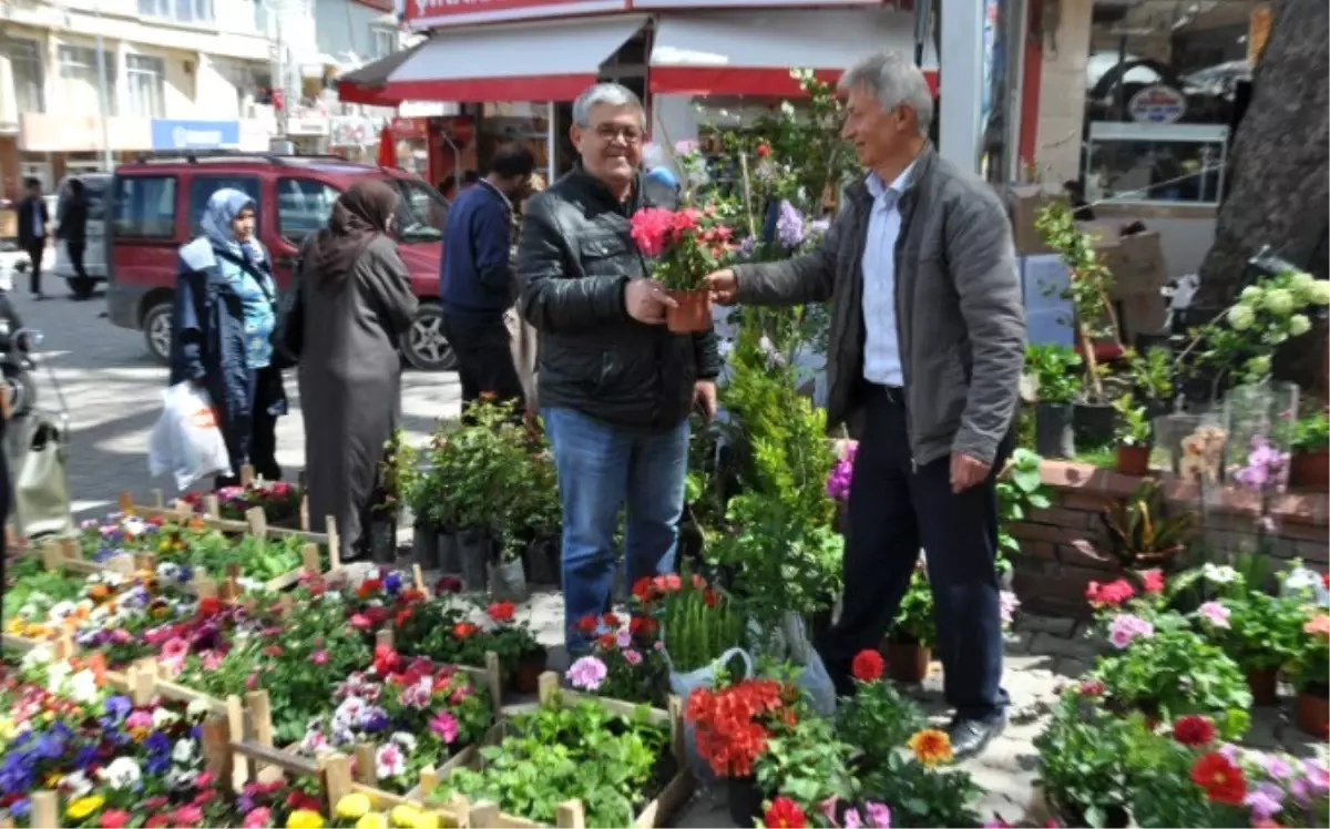 Pazar Yeri Çiçek Bahçesine Döndü