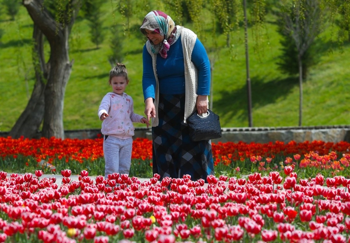 Sincan, Zarafet ve Güzelliğin Temsili Lalelerle Bahara \'Merhaba\' Diyor