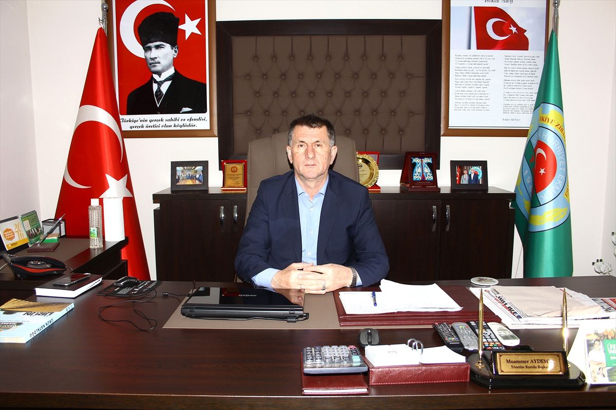 Soğuk Hava Fındık Üreticisini Üzdü