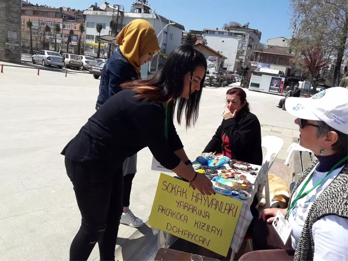 Sokak Hayvanları Aşılandı