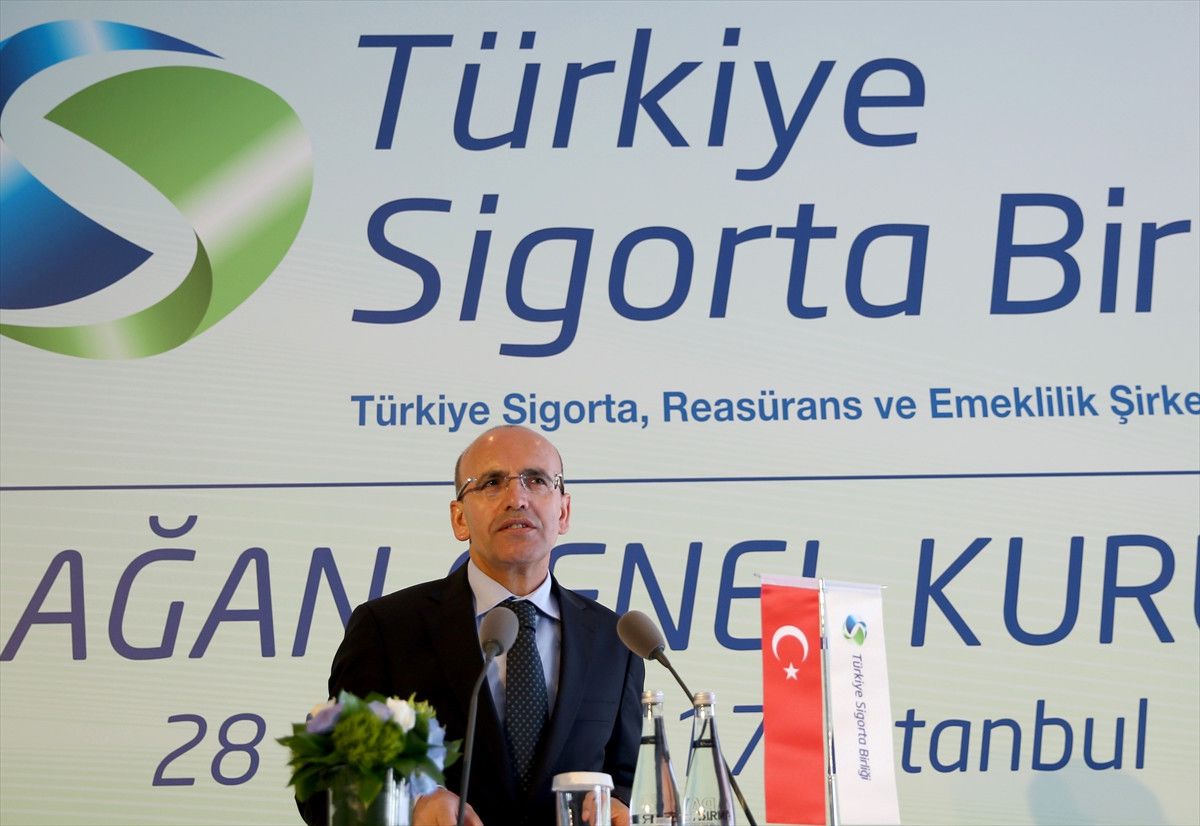 Başbakan Yardımcısı Şimşek: (2)
