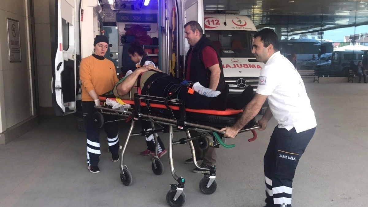 Budamak İçin Çıktığı Ağaçtan Düşerek Yaralandı