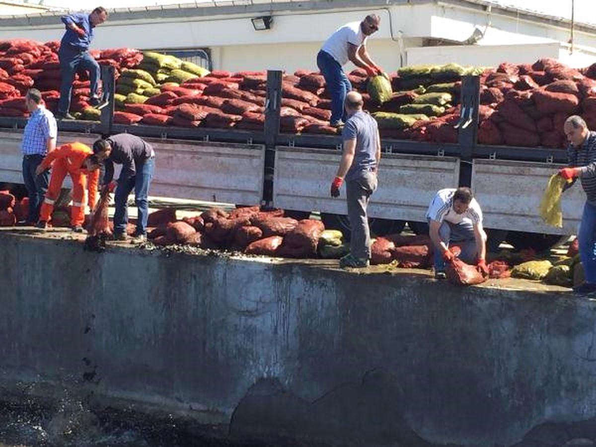 İzmir\'de 24 Ton Kaçak Midyeye El Konuldu