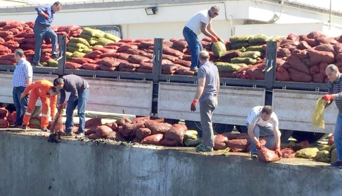 İzmir\'de 24 Ton Kaçak Midyeye El Konuldu