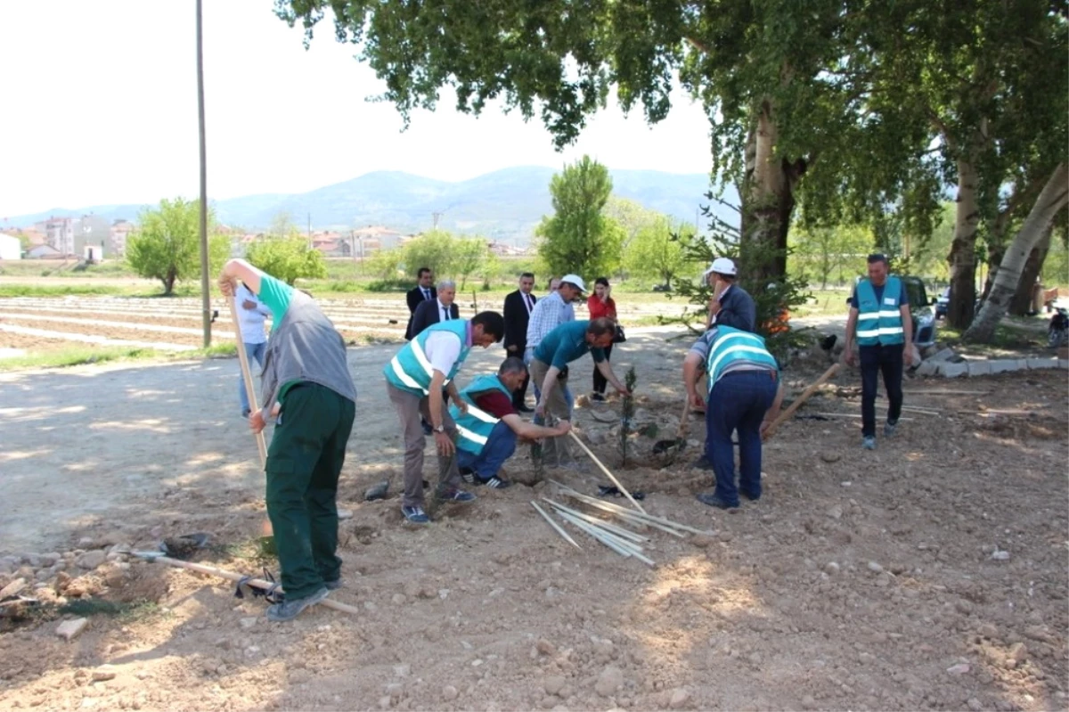 Osmaneli Belediyesi ve Denetimli Serbestlik Müdürlüğünden Örnek Çalışma