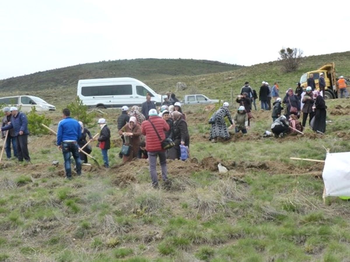 Otizm Farkındalık Ormanı\'na 1000 Adet Fidan Dikildi
