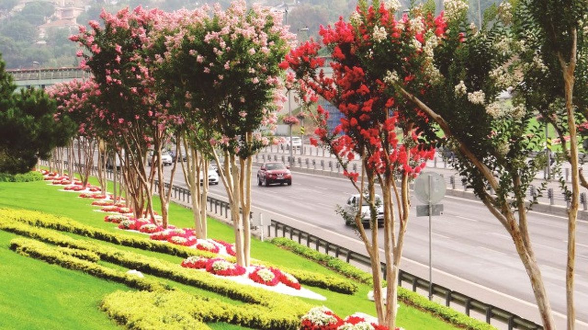 Palandöken\'de 5 Park Yapılacak